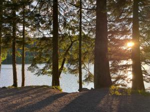 Appartements Le petit Beillard : photos des chambres