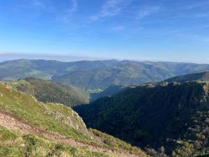 Appartements Le petit Beillard : photos des chambres