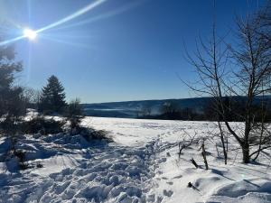 Appartements Le petit Beillard : photos des chambres