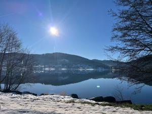 Appartements Le petit Beillard : photos des chambres