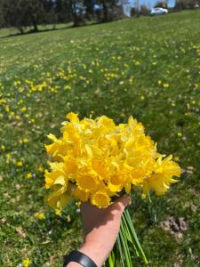 Appartements Le petit Beillard : photos des chambres