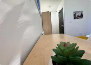 Room 5 Shared House in L6