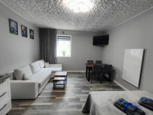 721 Slate Apartament Jedlina-Zdrój