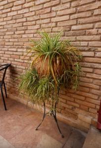 Home4U Κερατέα apt5, just 17Km from airport