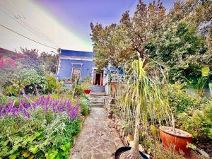 Bo-Kaap Penthouse with Table Mountain & City views