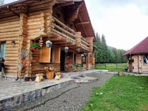 Pensiunea 12 Apostoli - Poiana Stampei