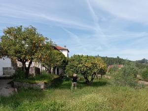 Stunning Hilltop Views - Orchard - Pool - Serenity