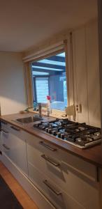 Chalet J151