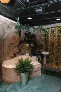 Themed Suites with Private Tub Shower Massage Fireplace - Alpine