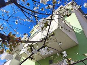 Green Lagoon, Hvar island