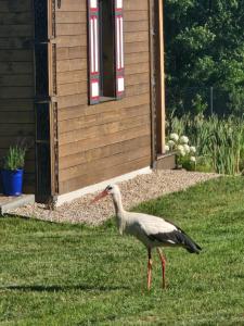 Otwarte Okiennice Soce 74