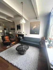 City center monumental house - Midlum