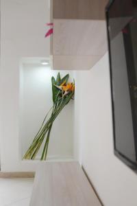 Trilogia Salentina x AP Apartment