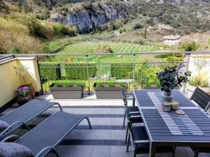 Apt Mountain Spirit, Arco - Mandrea