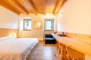 More e lamponi