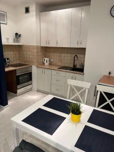 Apartament Rubin klimatyczny apartament w samym centrum Bielska