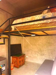 Green Belly Surf Hostel