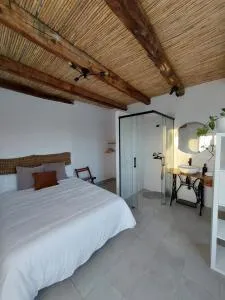 Casa tía Satur - 孔苏埃格拉