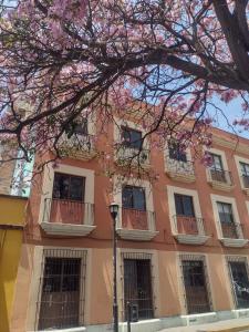 M9 The greatest place to enjoy Oaxaca