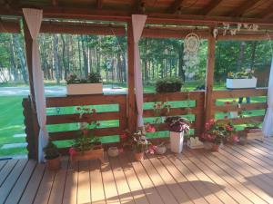 Dom wypoczynkowy Jelonek