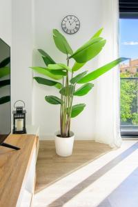 WintowinRentals Twin Charm Málaga Centro, Encanto y Confort junto al Casco Antiguo