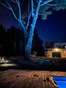 B&B / Chambres d'hotes Maison Joyeusete, Cite de Carcassonne 7 min, Piscine 20m chauffee toute l-annee, Clim, Parking : photos des chambres