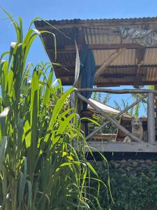 Mai Kilimanjaro Home Stay