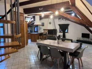 Spacieux 120 metres carré tout confort - Delle