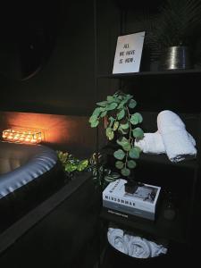 Appartements Love & Spa : photos des chambres
