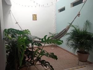 Hostal Naty luna - sede alterna