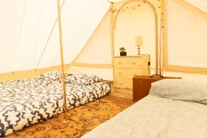 Aparra Surfcamp Auberge Capbreton