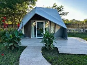 Pacific Glamp - Potrero