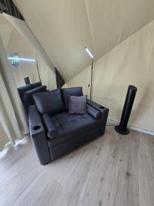 Pacific Glamp