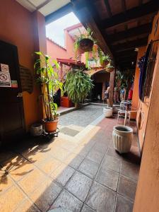 Hotel Chilero Y Café