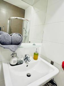 Luxury and cozy apartment Vinohrady Prague
