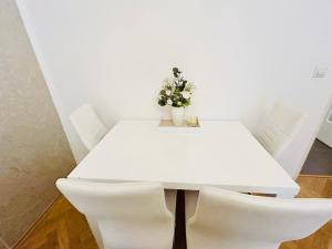 Luxury and cozy apartment Vinohrady Prague