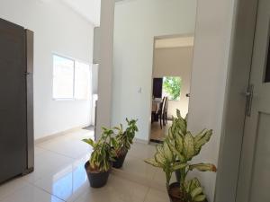 casa de praia meu paraíso pe na areia