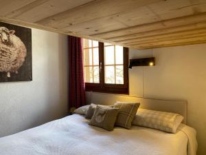 Wonderful apartment overlooking the Swiss alps