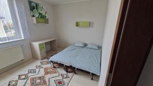 Apartament Raginisa