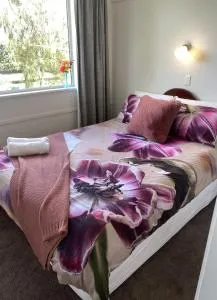 Horseinaround - 坎布里奇