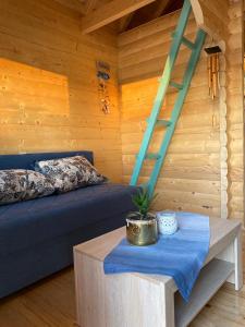 Zvoncica, Ada Bojana