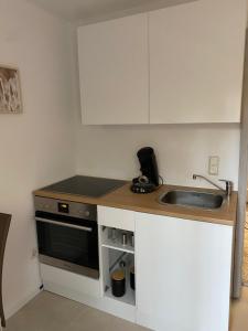 Schöne moderne renovierte Einliegerwohnung mit Terrasse