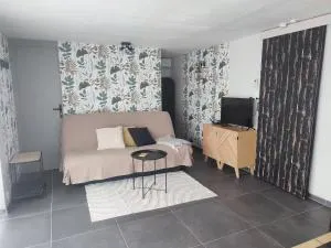studio chambre 45m2 - Lézat