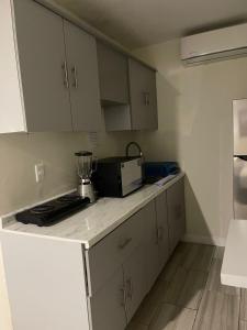 Constanza Lofts Executives en Zapopan Jalisco