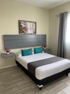 Constanza Lofts Executives en Zapopan Jalisco