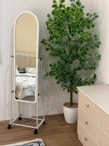 Asditio Luxury Modern