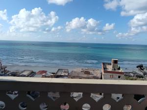 البيطاش شهر العسل