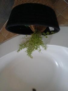 Mama Olly & Sons Guest House