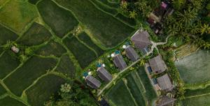 The Pulu Villas by GenuineHost