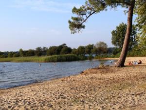 Maison 4 chambres avec piscine, à 8 min du lac de Sanguinet - FR-1-521-249